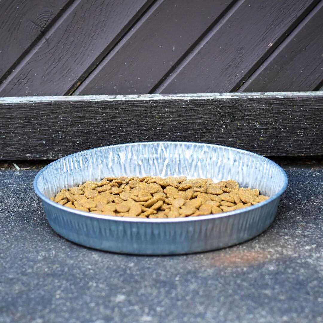 Galvanized Pet Pan 3 Quarts G6679