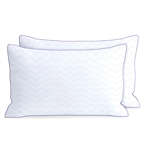 King Size Set of 2 Down Alternative Microfiber Bed Pillows N378