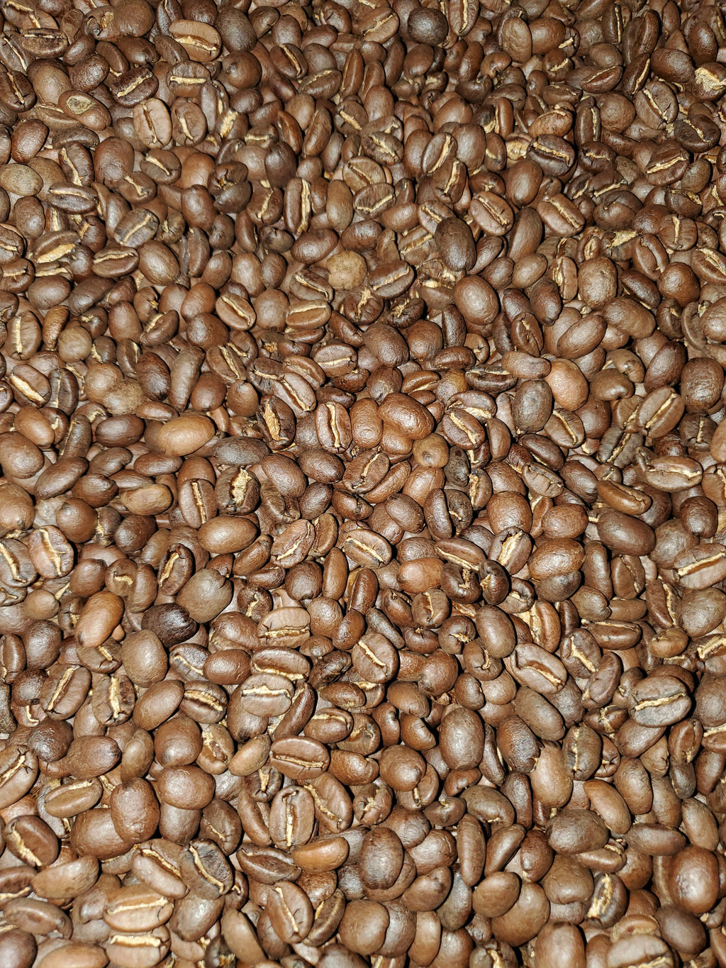 Medium Roast Guatemalan SHB San Marcos Coffee V7449