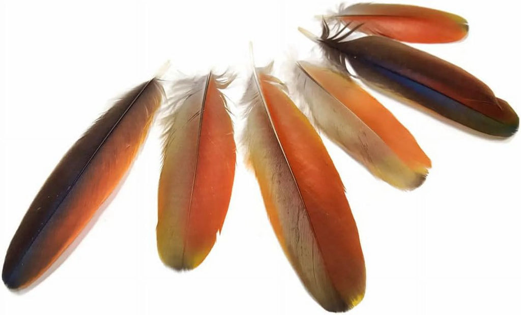 Natural Red Scarlet Medium Size Body Plumage, 4 Pieces U529624