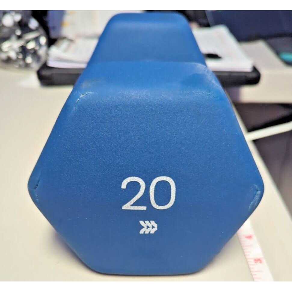 Blue Neoprene Dumbbell 20lbs E321171