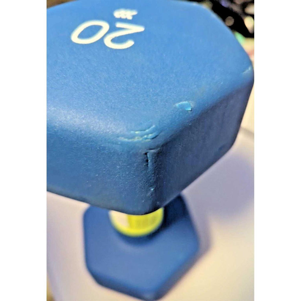 Blue Neoprene Dumbbell 20lbs E321171