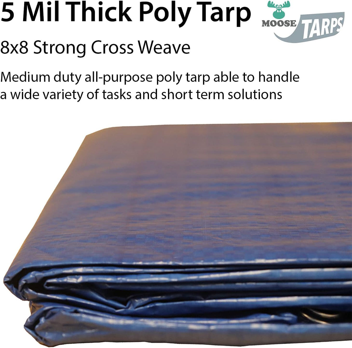 10' x 20' Water Resistant Reversible Blue/Silver Medium Duty Tarp Y582097