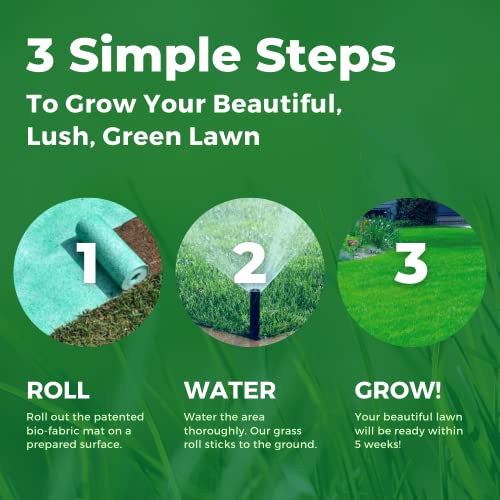 Biodegradable Grass Seed 50 SQFT Bermuda Rye X466