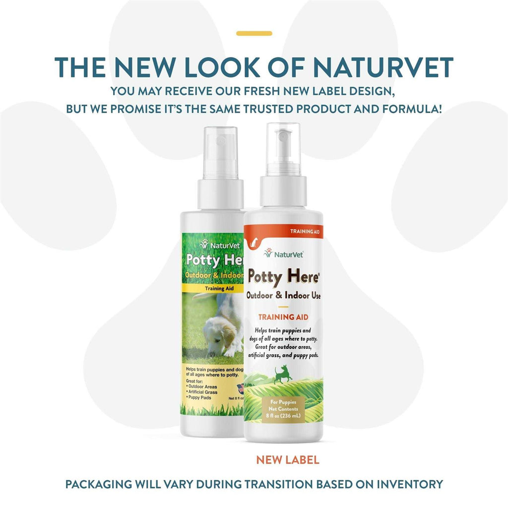 Potty Training Aid Spray N8291