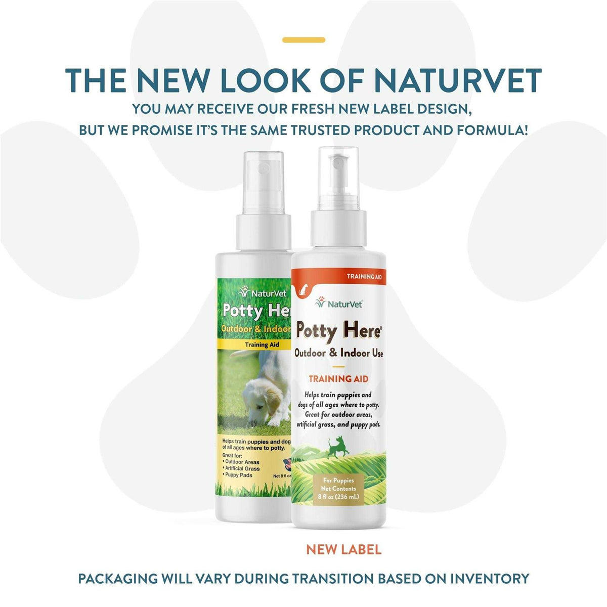 Potty Training Aid Spray N8291