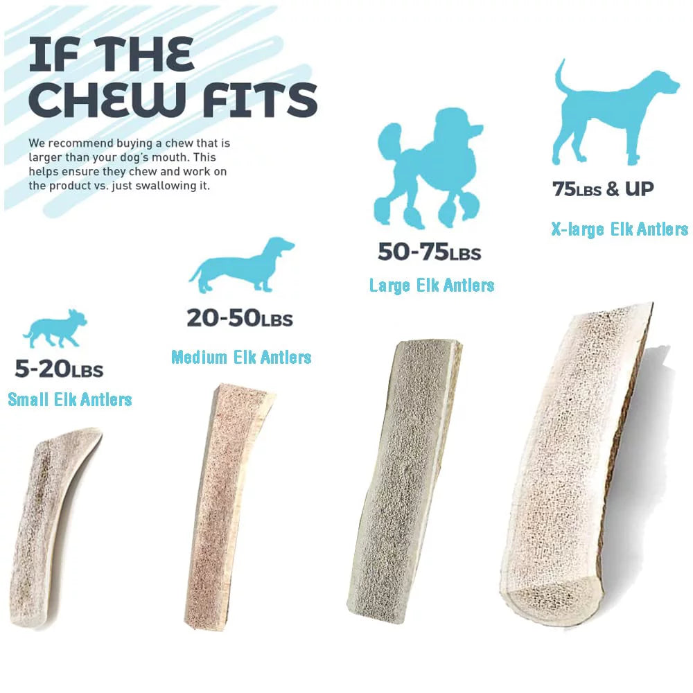 Small Split Elk Antler Dog Chews 3 Pack N528