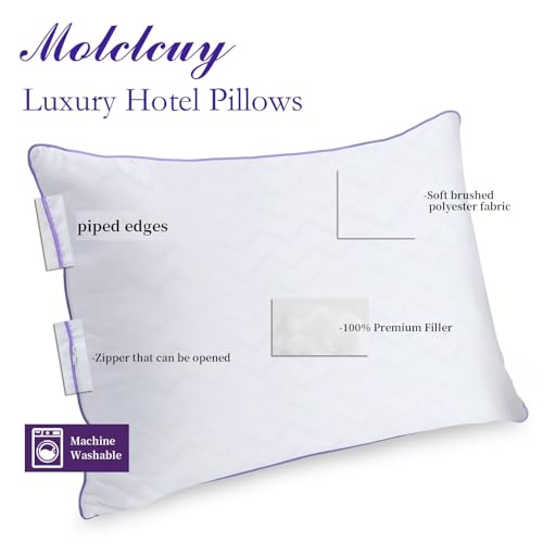 King Size Set of 2 Down Alternative Microfiber Bed Pillows N378