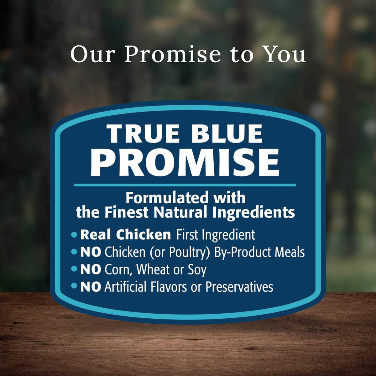 Senior Chicken Dry Dog Food W57265