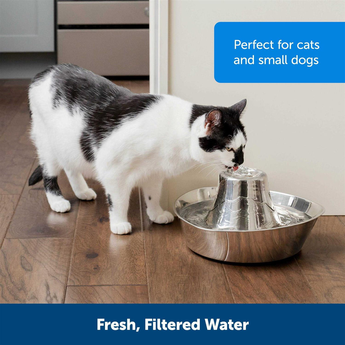 Stainless Pet Fountain E906
