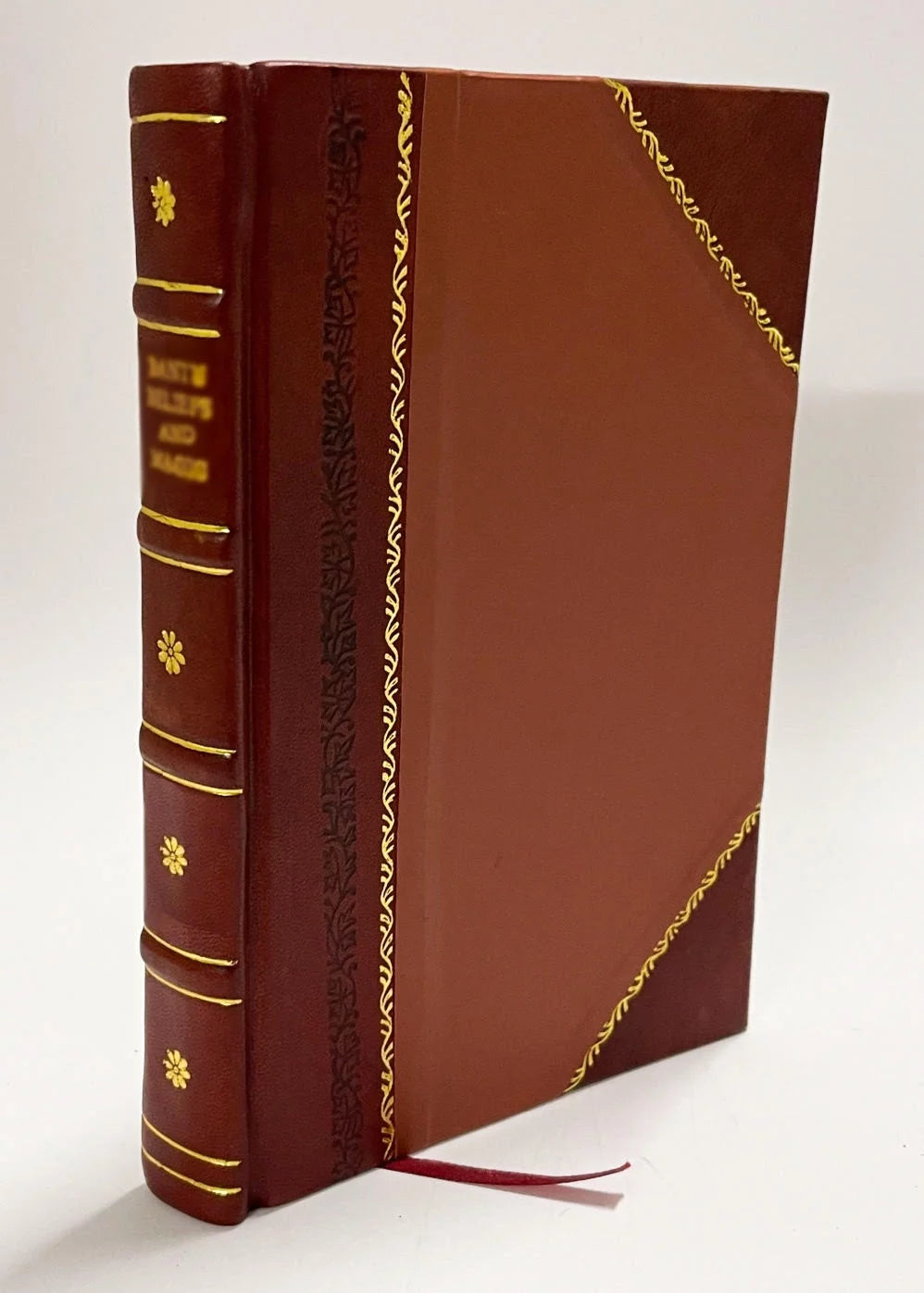 Arkadenmotiv im Obergeschoss des Aachener MuNsters und seine VorgaNger Leather Bound Z85861