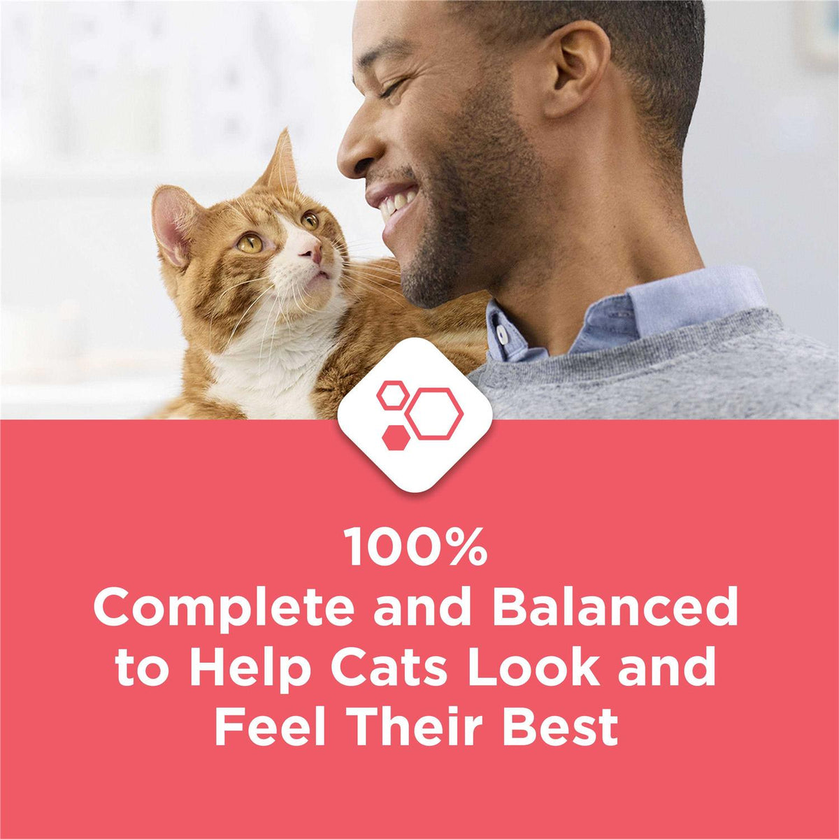Salmon High Protein Dry Cat Food K164