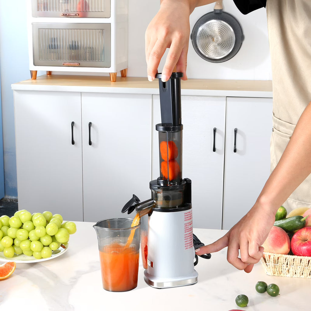 Masticating Slow Juicer Electric Cold Press Squeezer S848531