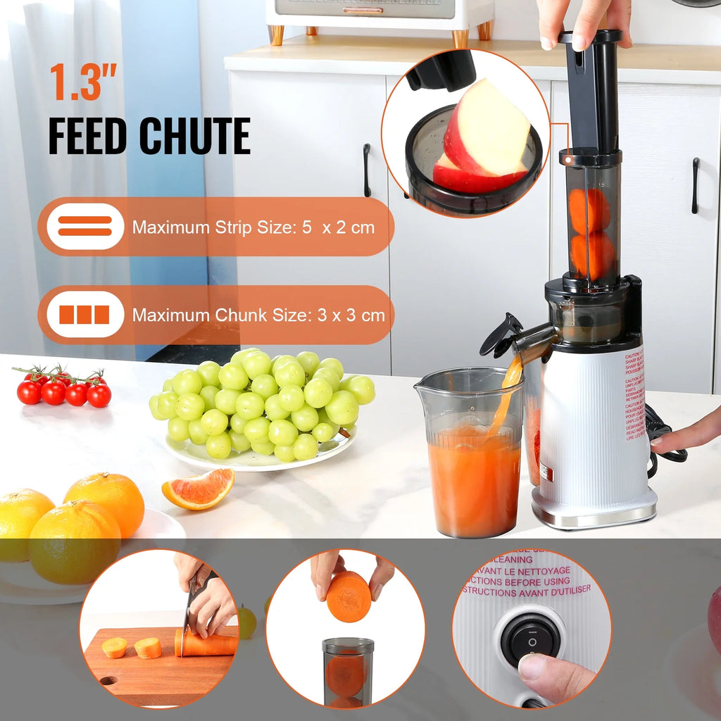 Masticating Slow Juicer Electric Cold Press Squeezer S848531