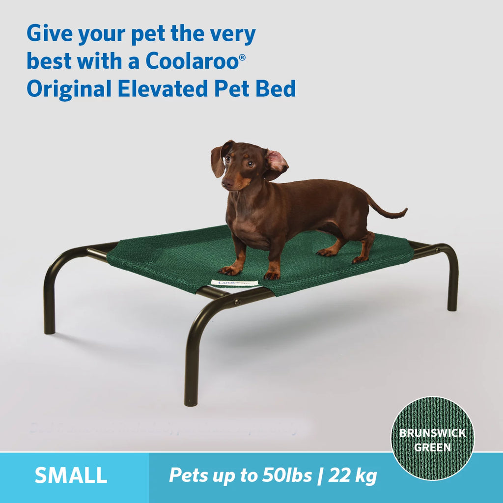 Elevated Pet Dog Bed M772