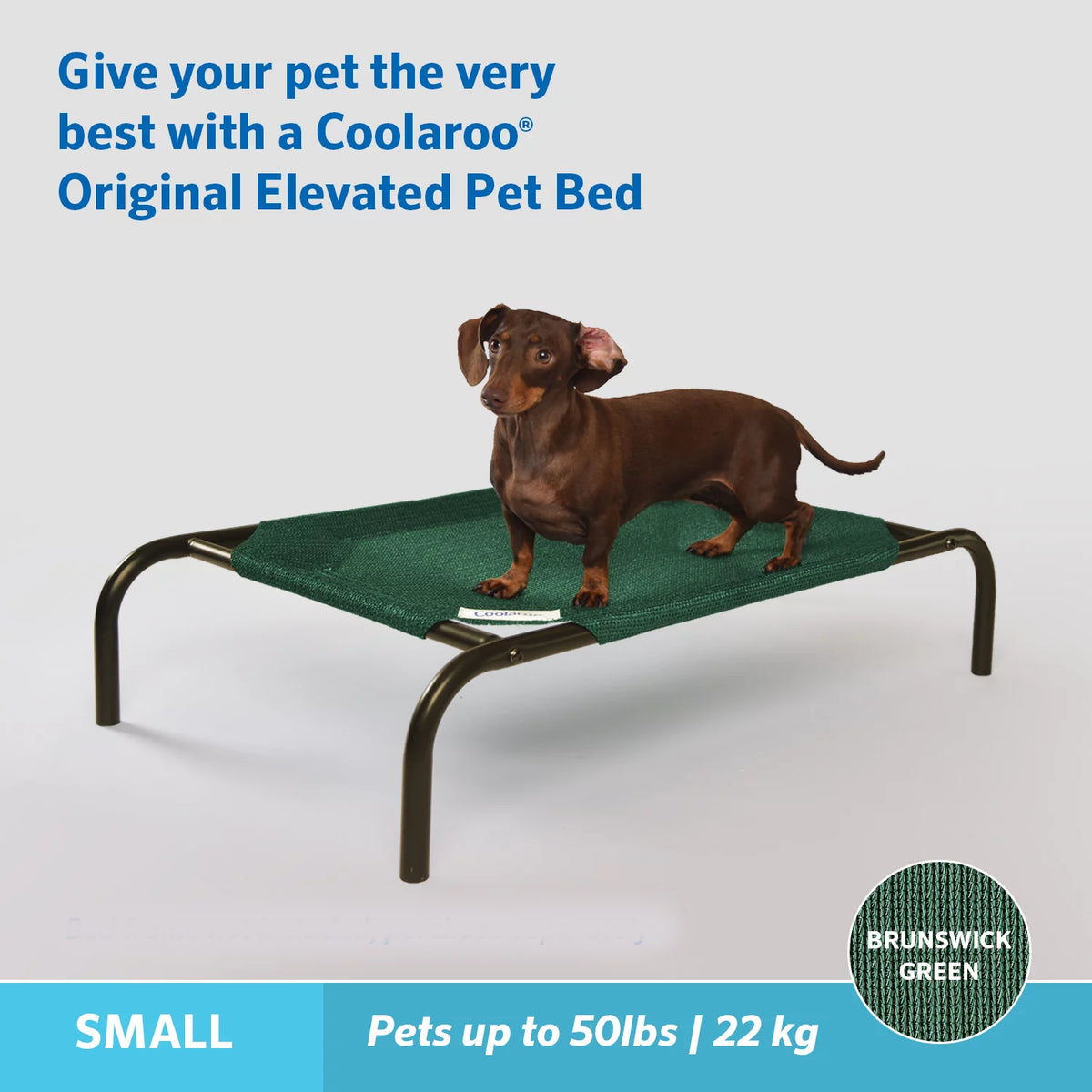 Elevated Pet Dog Bed M772