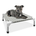 Elevated Pet Bed Dog Cot X11100
