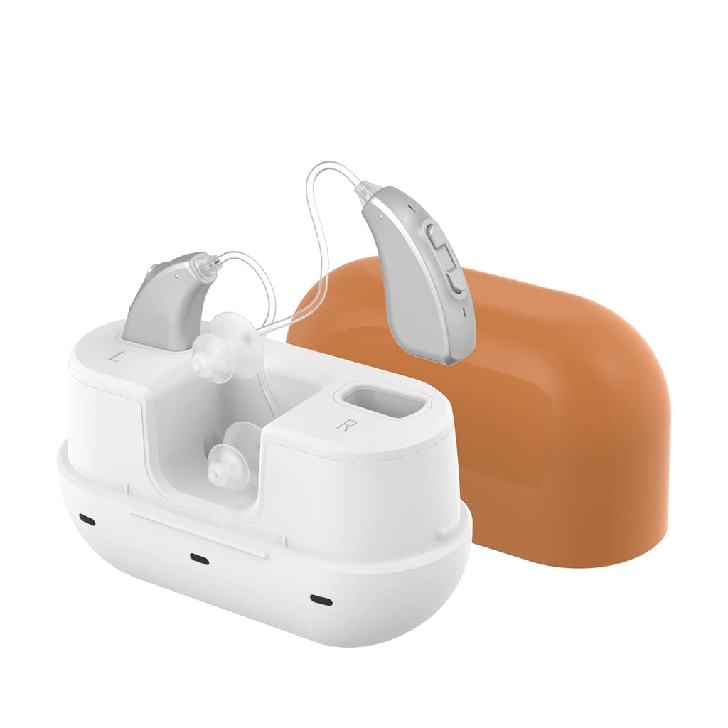 Rechargeable Sound Amplifier with Dual Microphone W310