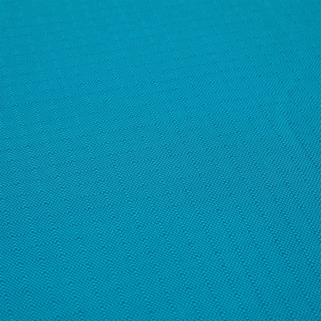 Teal Dog Mat P8805