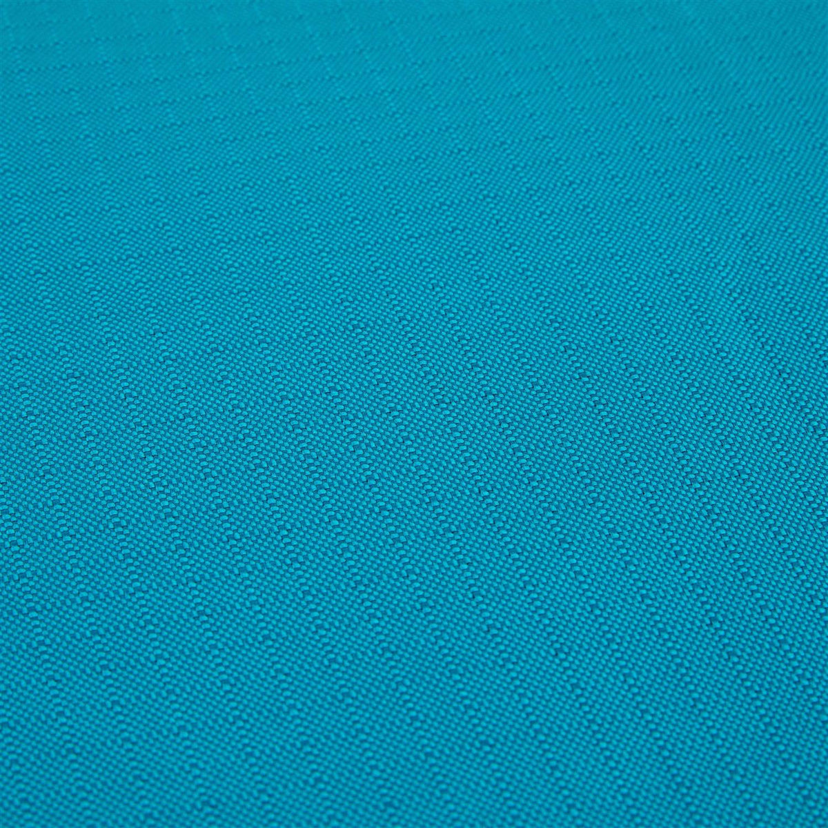 Teal Dog Mat P8805