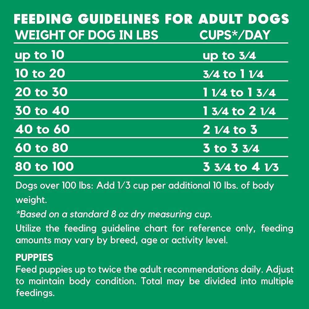Vegetarian Formula Dry Dog Food R17956
