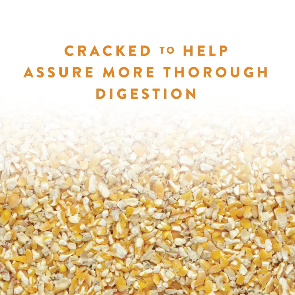 Cracked Corn Animal Feed, 40 lb T43491