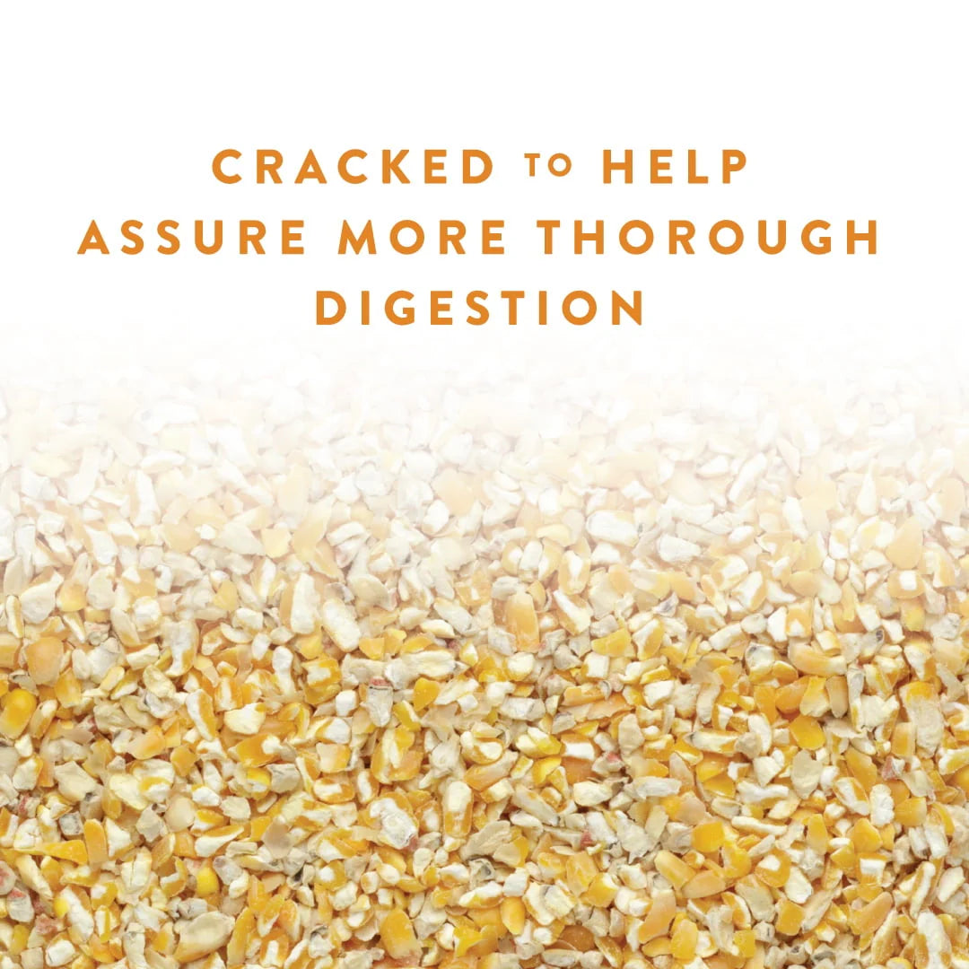 Cracked Corn Animal Feed, 40 lb T43491