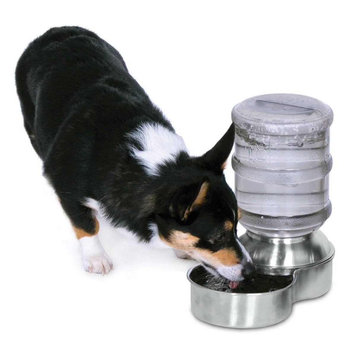 Stainless Steel Waterer X757