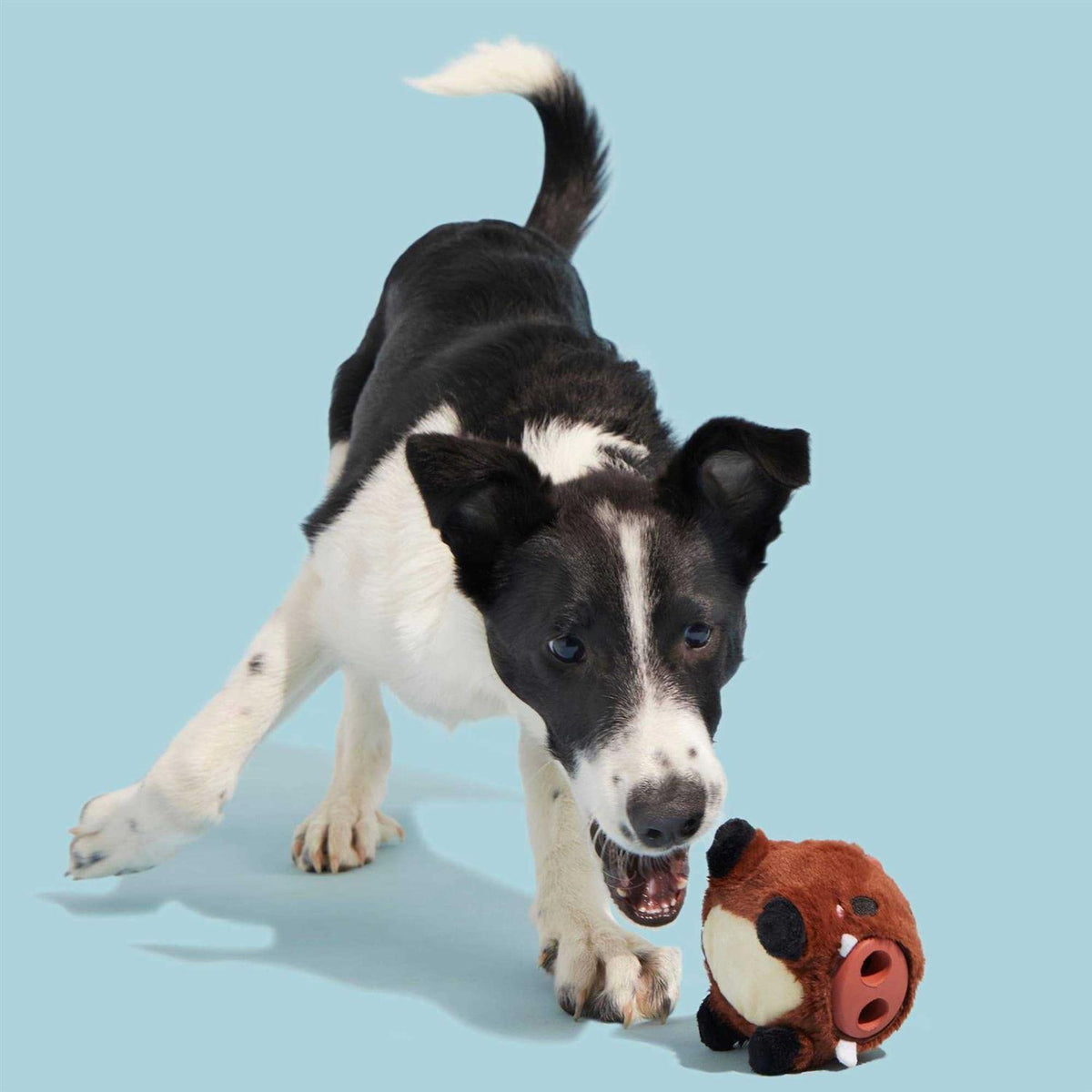 Super Chewer Dog Toy B174