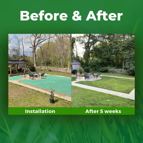 Biodegradable Grass Seed 50 SQFT Bermuda Rye X466