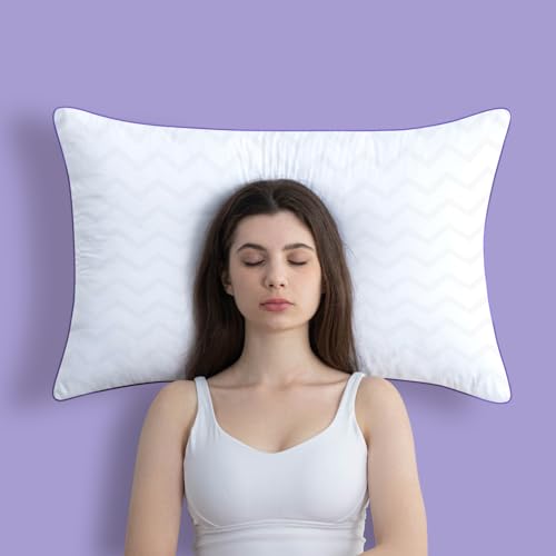 King Size Set of 2 Down Alternative Microfiber Bed Pillows N378