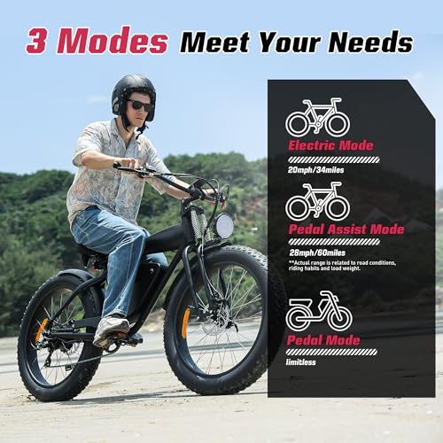 Electric Bike for Adults 48V 750W Peak 20" Fat Tires J92704