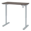 60" Electric Adjustable Standing Desk M23200