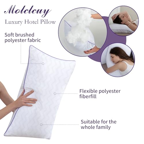 King Size Set of 2 Down Alternative Microfiber Bed Pillows N378