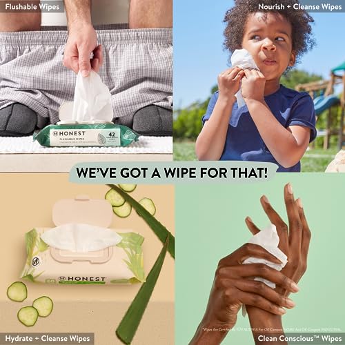 Unscented 99% Water Compostable Plant-Based Baby Wipes 720 Count Y64731